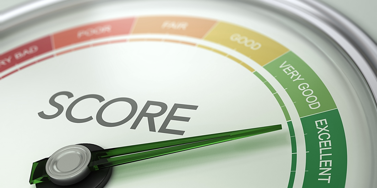 What is a Credit Score - Savology Article