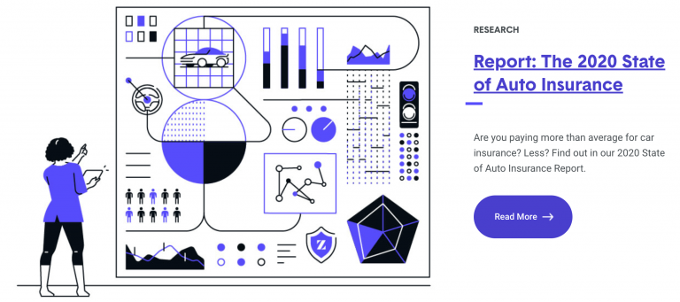 The Zebra Insurance Review: How Does The Zebra Work? - Savology